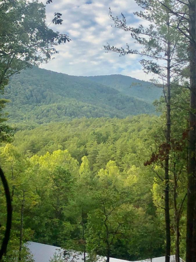 Mountain-Top Cabin Get-Away With Hot Tub And A View Sautee Nacoochee Zewnętrze zdjęcie