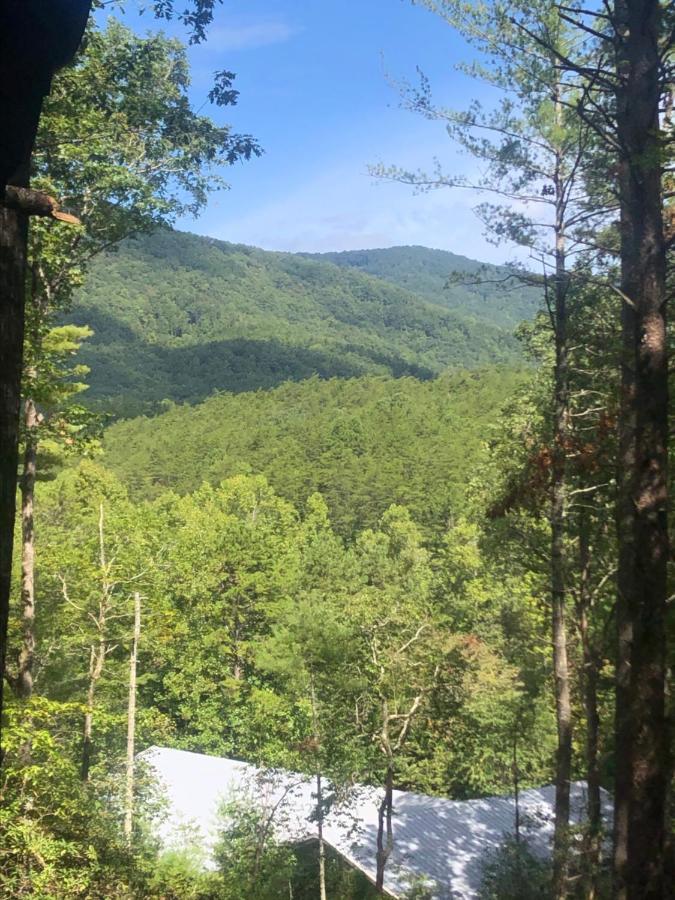 Mountain-Top Cabin Get-Away With Hot Tub And A View Sautee Nacoochee Zewnętrze zdjęcie